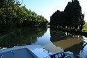 1img_8017.jpg