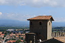 1img_8155.jpg