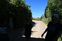 1img_8261.jpg