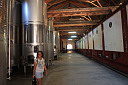 1img_8386.jpg
