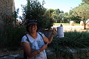 1img_8393.jpg
