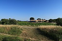 2img_1274.jpg