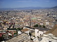 imgp0530.jpg
