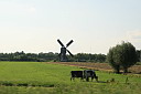 img_03229.jpg