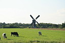 img_0491.jpg