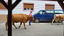 20220915_181940.jpg