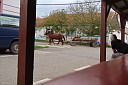 img_3243.jpg