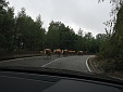 img_3446.jpg