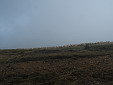 img_3470.jpg