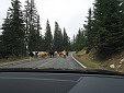 img_3485.jpg