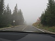 img_3495.jpg