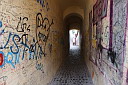 img_3896.jpg