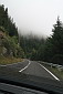 img_3998.jpg