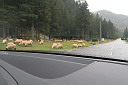 img_4093.jpg