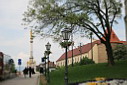 07croimg_6491.jpg