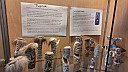 20230818_104553.jpg