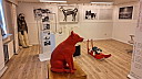 20230818_120817.jpg
