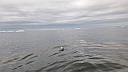 20230820_204930.jpg