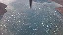 20230822_090131.jpg