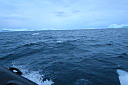 img_8894.jpg