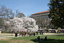 img_3088.jpg