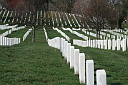 img_3121.jpg