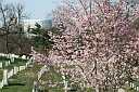 img_3137.jpg