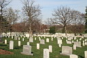 img_3195.jpg