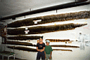 005tarapoto98-04.jpg