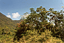 012yurimaguas98-05.jpg