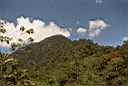 013yurimaguas98-06.jpg
