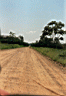 018yurimaguas98-10.jpg