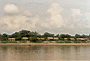 049tucanesa98-21.jpg