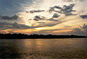 amazonas4.jpg