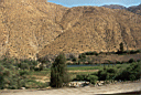 canta98-01.jpg