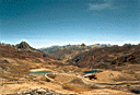 laoroya98-17.jpg