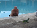 img_5780.jpg