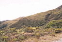 balsas021.jpg
