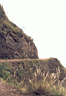 balsas025.jpg