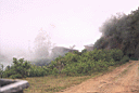 balsas030.jpg
