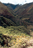 balsas032.jpg