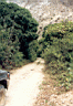 balsas041.jpg