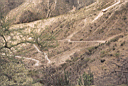 balsas053.jpg