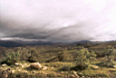 balsas062.jpg