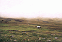 balsas064.jpg