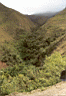 kuelap038.jpg
