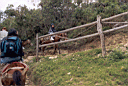 kuelap045.jpg