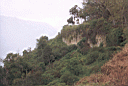 kuelap072.jpg