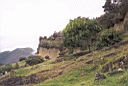 kuelap080.jpg