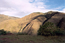 kuelap094.jpg